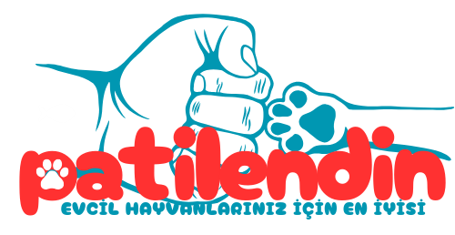 Patilendin Petshop Alo Mama
